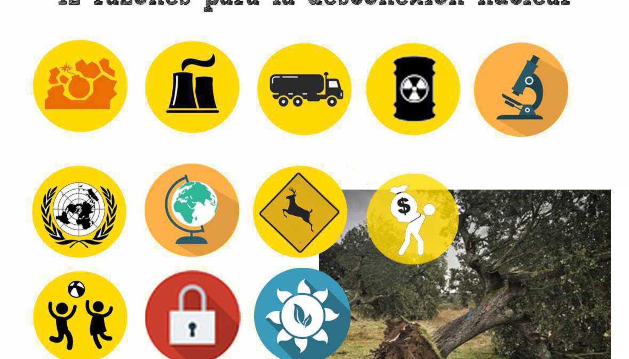 12 razones para la desconexión nuclear